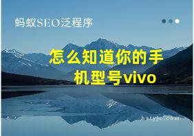 怎么知道你的手机型号vivo