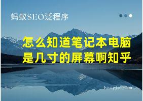 怎么知道笔记本电脑是几寸的屏幕啊知乎