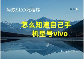 怎么知道自己手机型号vivo