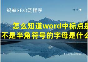 怎么知道word中标点是不是半角符号的字母是什么