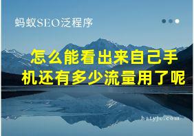 怎么能看出来自己手机还有多少流量用了呢