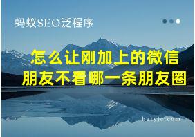 怎么让刚加上的微信朋友不看哪一条朋友圈