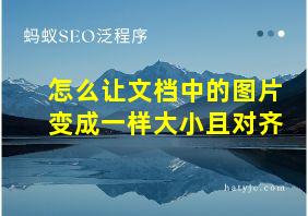 怎么让文档中的图片变成一样大小且对齐