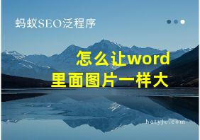 怎么让word里面图片一样大