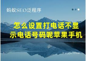 怎么设置打电话不显示电话号码呢苹果手机