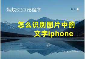 怎么识别图片中的文字iphone