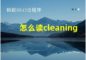 怎么读cleaning