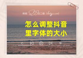 怎么调整抖音里字体的大小