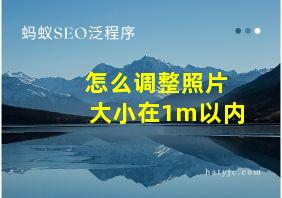 怎么调整照片大小在1m以内