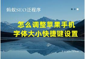 怎么调整苹果手机字体大小快捷键设置