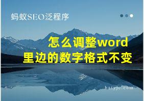 怎么调整word里边的数字格式不变