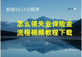 怎么领失业保险金流程视频教程下载