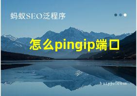 怎么pingip端口