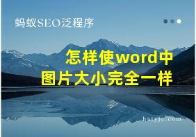 怎样使word中图片大小完全一样