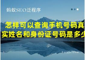 怎样可以查询手机号码真实姓名和身份证号码是多少