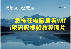 怎样在电脑里看wifi密码呢视频教程图片