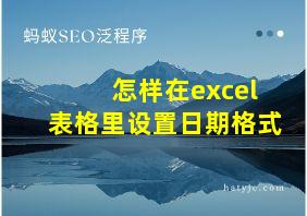 怎样在excel表格里设置日期格式