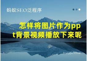 怎样将图片作为ppt背景视频播放下来呢