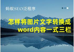 怎样将图片文字转换成word内容一式三栏