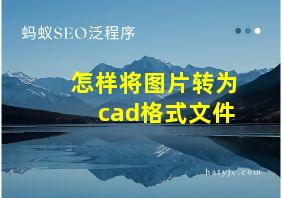 怎样将图片转为cad格式文件