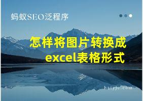 怎样将图片转换成excel表格形式