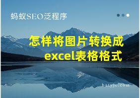 怎样将图片转换成excel表格格式