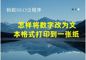 怎样将数字改为文本格式打印到一张纸