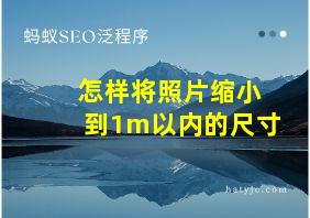 怎样将照片缩小到1m以内的尺寸