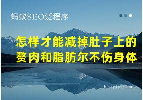 怎样才能减掉肚子上的赘肉和脂肪尔不伤身体