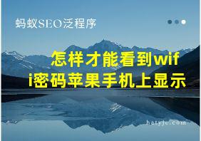 怎样才能看到wifi密码苹果手机上显示