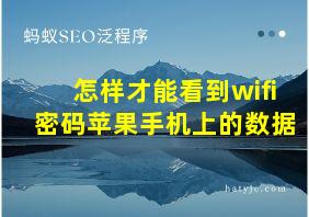 怎样才能看到wifi密码苹果手机上的数据