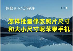 怎样批量修改照片尺寸和大小尺寸呢苹果手机