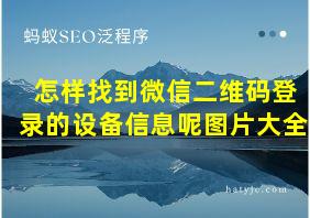 怎样找到微信二维码登录的设备信息呢图片大全