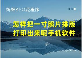 怎样把一寸照片排版打印出来呢手机软件