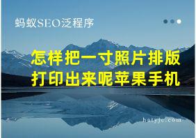 怎样把一寸照片排版打印出来呢苹果手机