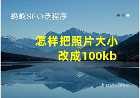 怎样把照片大小改成100kb