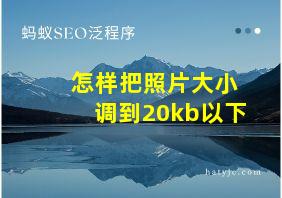 怎样把照片大小调到20kb以下