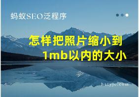 怎样把照片缩小到1mb以内的大小