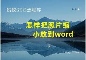 怎样把照片缩小放到word