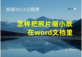 怎样把照片缩小放在word文档里