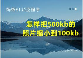 怎样把500kb的照片缩小到100kb