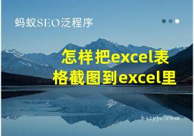 怎样把excel表格截图到excel里