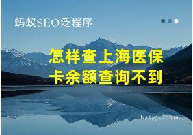 怎样查上海医保卡余额查询不到