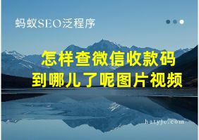 怎样查微信收款码到哪儿了呢图片视频