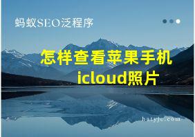 怎样查看苹果手机icloud照片