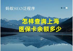 怎样查询上海医保卡余额多少