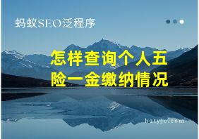 怎样查询个人五险一金缴纳情况