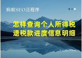 怎样查询个人所得税退税款进度信息明细