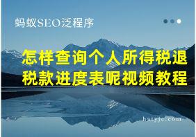 怎样查询个人所得税退税款进度表呢视频教程