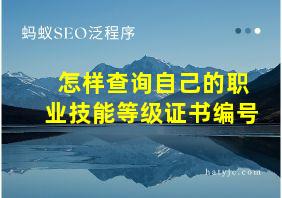 怎样查询自己的职业技能等级证书编号